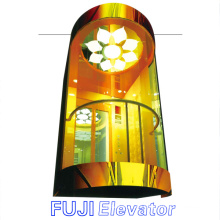 Elevación del elevador de la observación de FUJI para la venta (FJ-GA02)